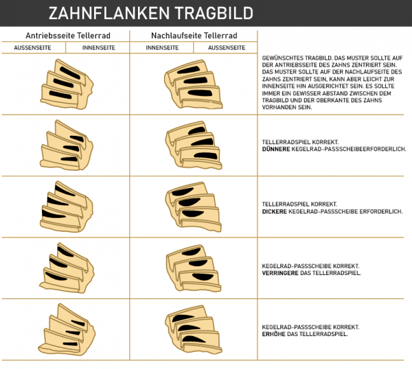 ZAHNRAD-TRAGBILD